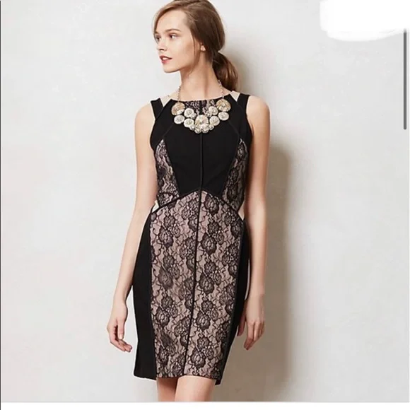 Anthropologie Maeve Paneled Black Lace Bodycon Dress 6 Anthropologie Maeve Paneled Black Lace Bodycon Dress 6